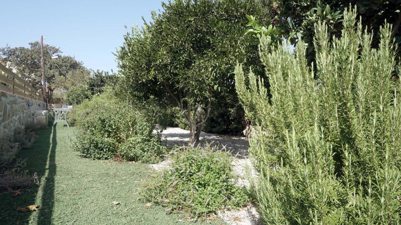 Studio Eleni - Oasis Holiday Houses Kókinosz Pírgosz Kültér fotó